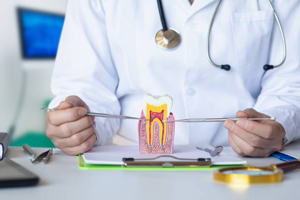 Best Mobile Emergency Dentist in Clayton, NC